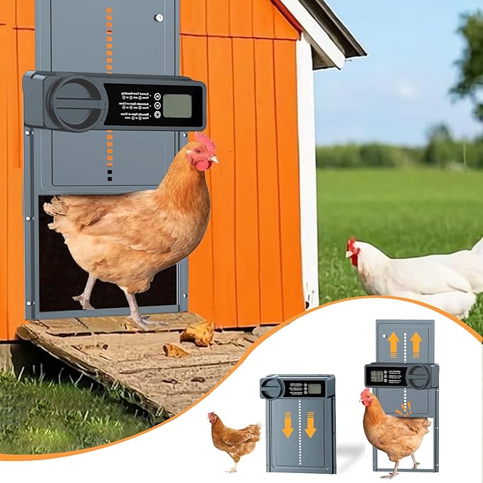Automatic Chicken Coop Door, Large Chicken Door with Timer & Manual Control, Anti-Pinch Sensor, Low Battery Warning,Waterproof Aluminum Chicken Coop Opener with LCD Display, Battery Powered (Blue)