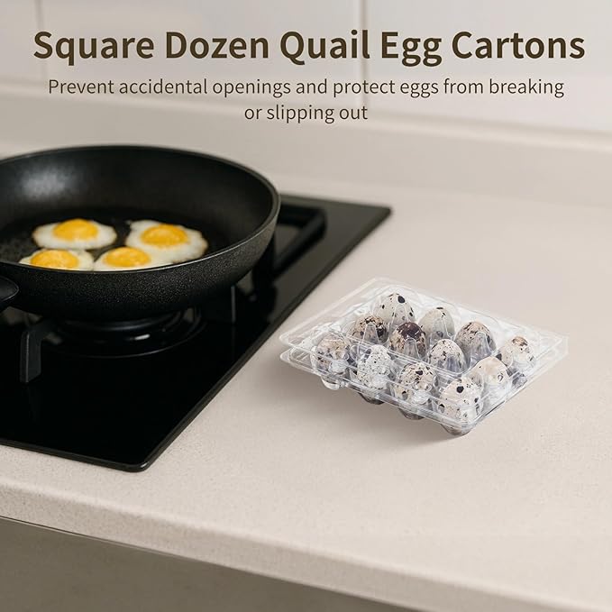 Varku 60 Pcs Quail Egg Cartons,12-slot Plastic Egg Cartons Trays Bulk,3x4 Grids Clear Storage Containers Fresh Chicken Eggs Reusable Small Quail Holder Trays Basket,Compact Stackable Design