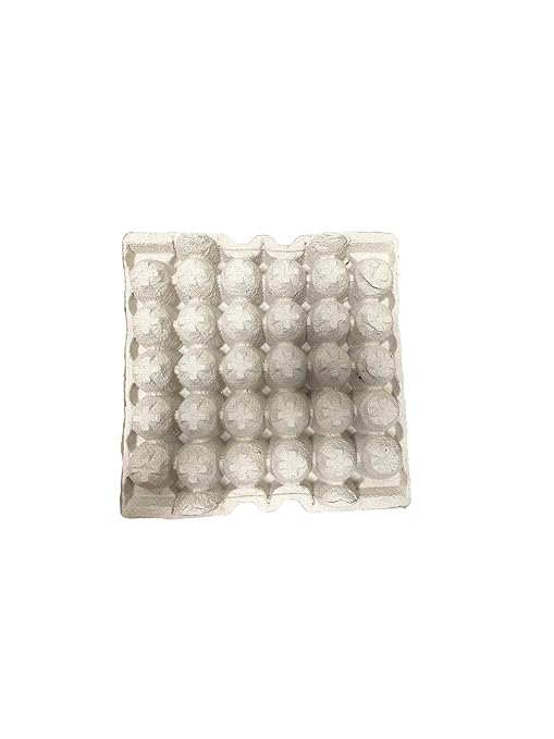 Pulp Fiber Egg Flats Egg Trays for Storing 30 Large Eggs Or Small Parts Or Use For Crafting (6)