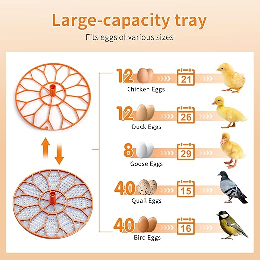 Incubator, Egg Incubator, Incubator for Hatching Eggs with Egg Candler, Automatic Egg Turner, Temperature& Humidity Control for Chicken, Duck, Quail,Goose, Carrying Handle Design,360° Viewing