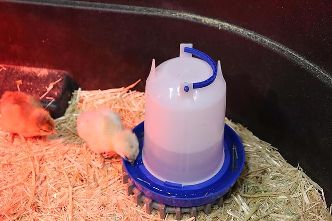 Double-Tuf® Plastic Poultry Feeder and Waterer Kit | Hanging Chicken Feeder | Hanging Chicken Waterer | 1.5 Lb Poultry Feeder | 1.5 Quart Poultry Waterer