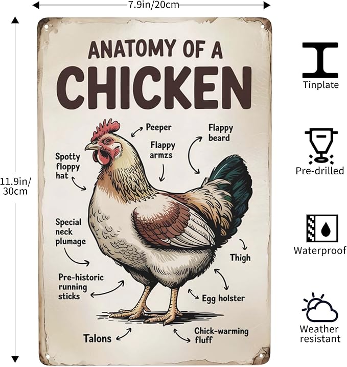Retro humor wall art sign featuring Anatomy Of A Chicken Metal Tin Sign Classroom Farm Decor Perfect For Hanging In Coop Rustic Vintage Finish Educational 8x12 inch metal sign for home bar wall