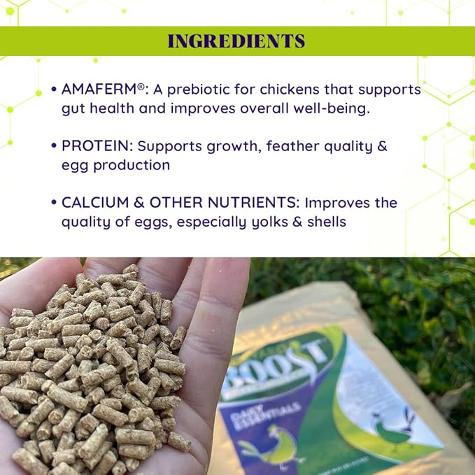 Daily Essentials Chicken Feed | Pelleted High Protein Food for Laying Hens | 2.5 Pound Bag