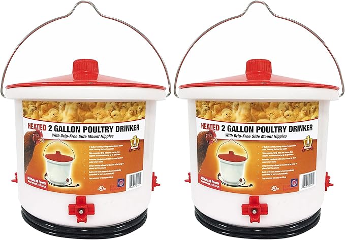 Farm Innovators 2 Pack Heated Chicken Waterer, Poultry Drinker Bucket, 2 Gallon