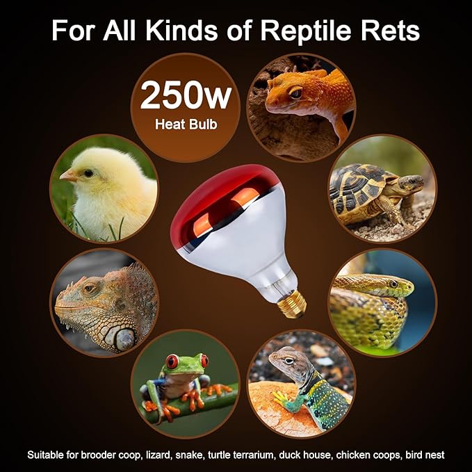 250W Heat Lamp Red Infrared Bulbs, Flood Light Heat Lamp Bulb for Food Service, Brooder Bulb, Chicks, Pet, Bathroom, Light Therapy Use, Glass, 2 Pack