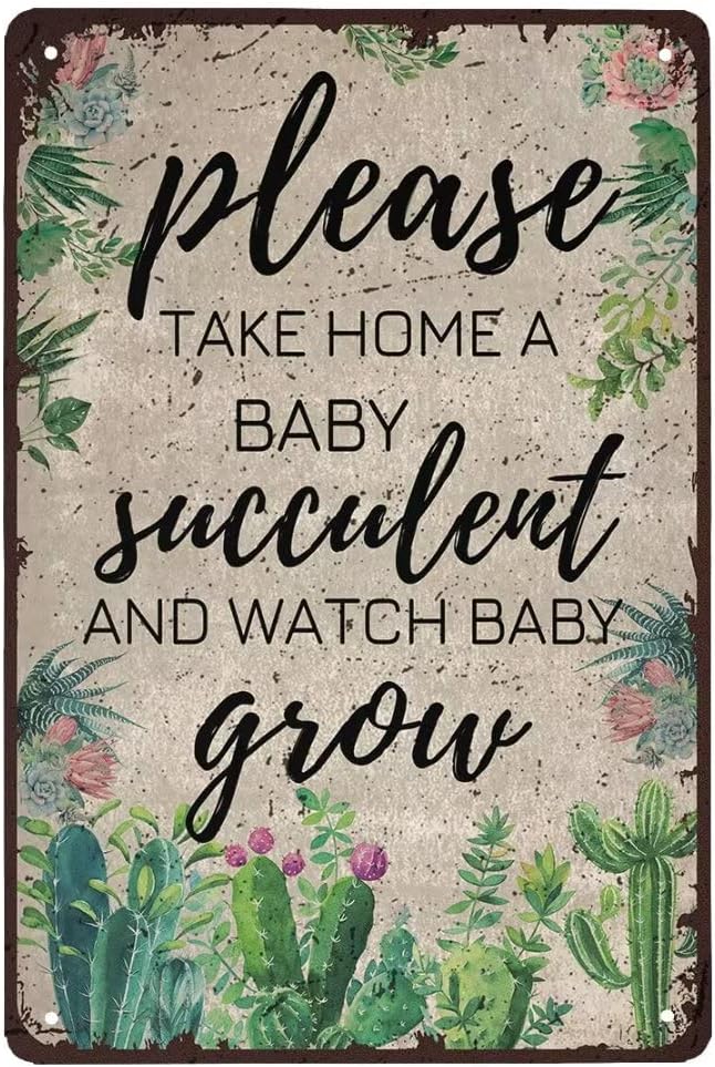 Please Take Home A Baby Succulent Retro Tin Sign 12x8 inch Succulent Lovers Gift Flower Wall Sign Plant Wall Art Garden Decor Farmhouse Decor Birthday Anniversary Housewarming Gift For Women Men