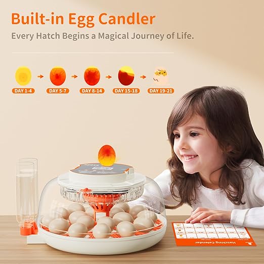 18 Egg Incubator, Automatic and Adjustable Egg Turning, Egg Candler, Temperature and Humidity Control, Hatch Day, 2 Size Egg Tray, Automatic Water Refill, Hatching Chicken Quail Duck Turkey Goose Bird