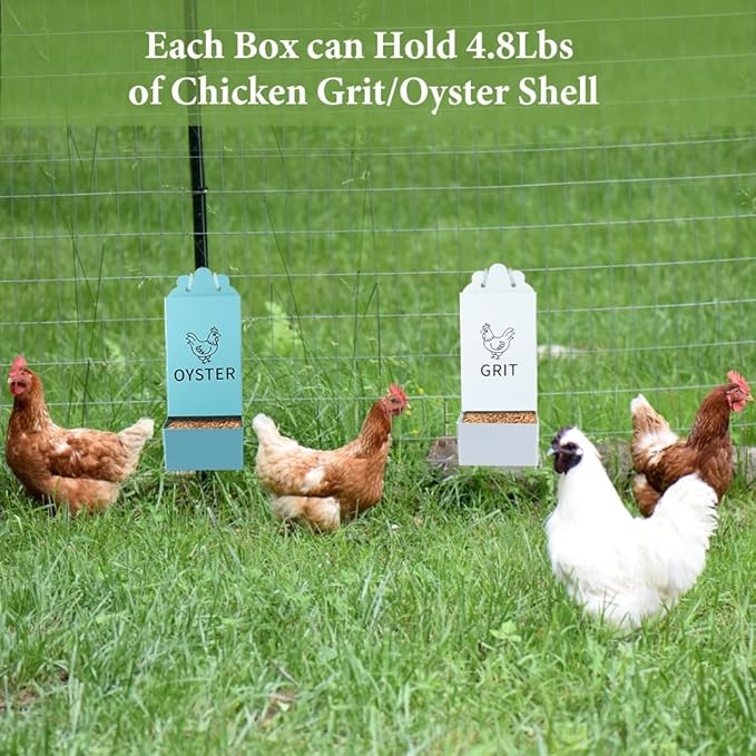 2 Pack Metal Chicken Feeder, Oyster Shell and Grit Feeder Hanging/Ground Chicken Coop Feeder with Durable Iron Construction for Hens & Chicks (Blue & White)