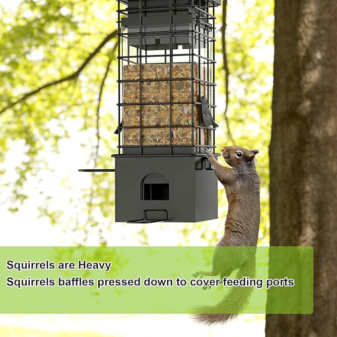 KRUOO Heavy Duty Metal Squirrel Proof Bird Feeder, 2.5LB Large Capacity, Weather Resistant, Easy Refill & Clean, Hanging Wild Bird Feeder for Finch Cardinal Chickadee Outdoor Garden