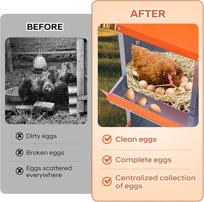 Egg Protection & Large Vented Holes - Galvanized Steel Chicken Nesting Box - 6 Compartments, Wall-Mountable, Easy Clean, Rustproof Hen Laying Box - Red, 84.5 x 42 x 90.3cm, 6 Compartments ZW