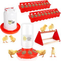 Chick Feeder and Waterer Kit with Chick Perch, Cool Chick Feeder and Waterer Set, Baby Chick Starter Kit with Chick Perch for Small Poultry Chicks Ducks Quail Pigeons Birds(RED)