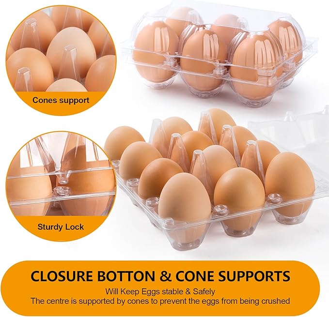 180 Pack Egg Cartons 6 Count, Clear Plastic Egg Cartons Cheap Bulk for Chicken Eggs, Reusable Egg Holder Container for Family, Chicken Farm and Markets, Medium