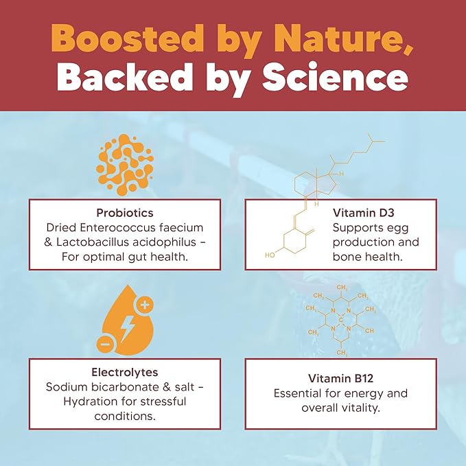 Equerry's Flock PRO Hen Boost - Digestive Supplement for Hens | Chicken Vitamins and Supplements | Probiotics, Digestive Enzymes, Electrolytes for Adult Poultry-8 OZ