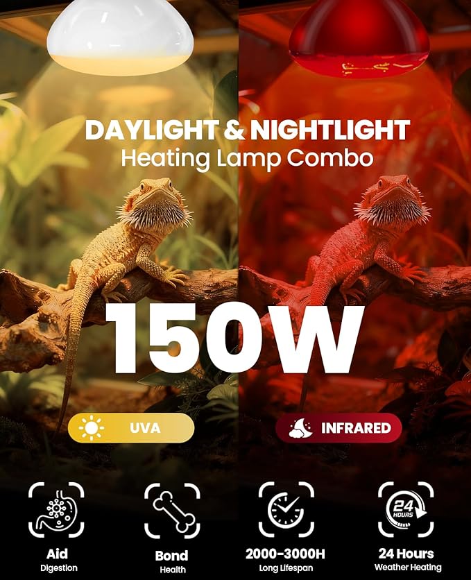 KINDEEP 150W Reptile Heat Lamp Bulbs: Reptile Day & Night Basking Spot Bulb Combo Amphibian Infrared Heat Lamp Bulb - UVA Basking Spot Daylight Heating Light Bulb for Lizard Tortoise Snake