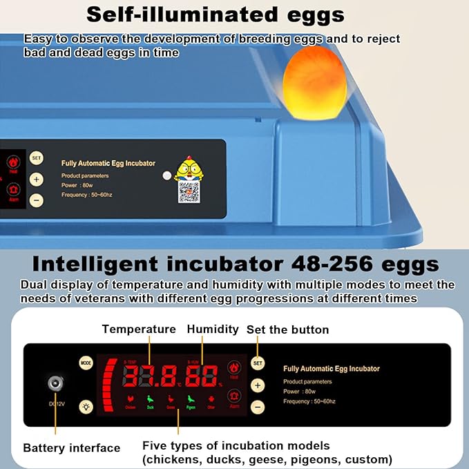 Home Incubator Egg Brooding Machine Chicken Incubator, 98-256 Eggs Incubator Automatic Turning and Hatching, Digital Incubator with Temperature Control,152,152