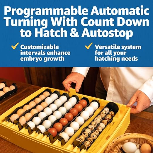 Brinsea Ovation 56 EX Connect App Controlled Egg Incubator with Automatic Egg Turning and Humidity Control for Hatching 56 Chicken, Duck, Other Eggs, Precision App-Driven Digital Controls and Alarms