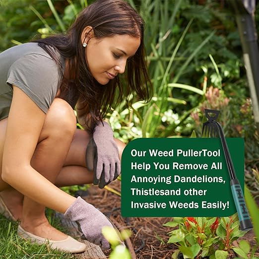 Weed Remover Tool,2-in-1 Portable Hand Weeding Tool with 6 Teeth,Portable Garden Weeder Tool,2026 New Gardening Weeding Tools,for Garden Hand Tools for Garden, Backyard, Farm & Vegetable Planting