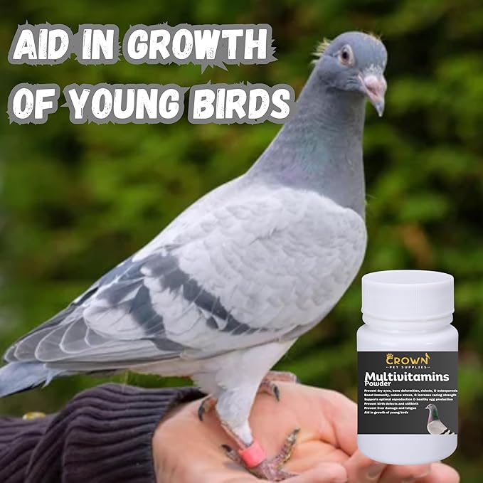 Multivitamin Powder for Pigeons – Ultimate Vitamin Formula for Racing & Breeding – Supports Growth, Bone Strength, Reproductive Health & Feather Health - Promotes Peak Performance & Well-Being 50g