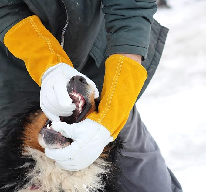 Suse's Kinder Animal Handling Gloves Leather Padding Dog,Cat Scratch,Bird Falcon Gloves Grabbing Reptile Squirrel Snake Bite