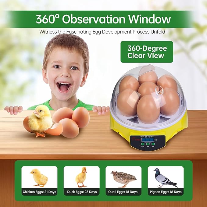7-Egg Mini Egg Incubator with 360° View, Educational Hatching Kit for Kids, Classrooms & Families, Automatic Temperature Control & Manual Humidity Control, Suitable for Chicken, Duck & Quail Eggs