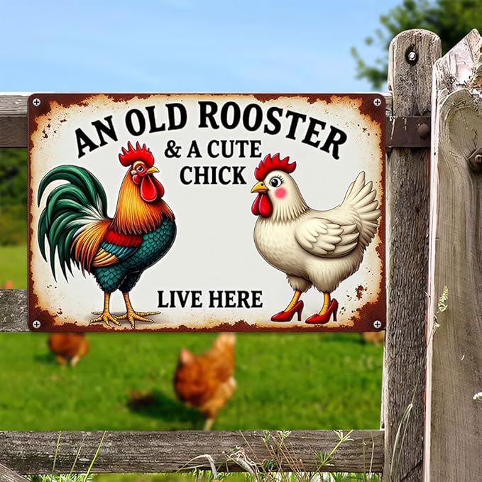 FunnySign Chicken Gifts Rooster Décor An Old Rooster & A Cute Chick Live Here Rustic Tin Sign For Home Farm Chicken Coop Decor 8x12 Inch (9713)