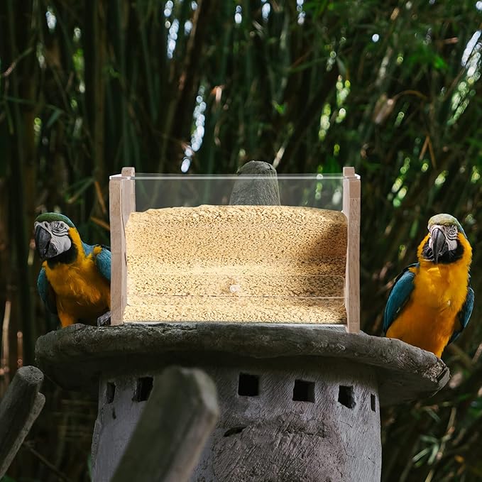 Rutin Chicken Automatic Food Feeder Clear Acrylic Parrot Bird Feeding Container Multi Use for Rutin Chickens Easy to Capacity for Home Pet Store