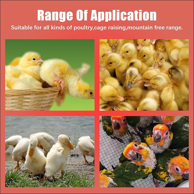 Chicken Feeder and Waterer Set, Chick Poultry Feeding Equipment Kit Automatic Feeding and Watering for Baby Turkey Guinea Fowl Quail Pigeons Ducks(0.35Lbs + 160ml)