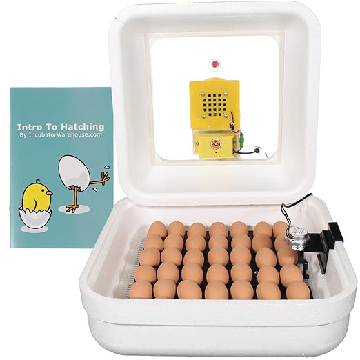 Incubator Warehouse HovaBator Genesis Starter Combo Kit with Circulated Air Incubator - Chick Incubator with Automatic Egg Turner for Hatching Chicken - Goose, Duck, Turkey, Quail, Chicken Incubator