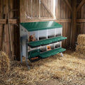Nesting Box for Chickens, 8 Hole Chicken Nesting Box, Roll Away Nest Boxes with Legs, Poultry Nest Boxes for Chickens Laying Egg, Green