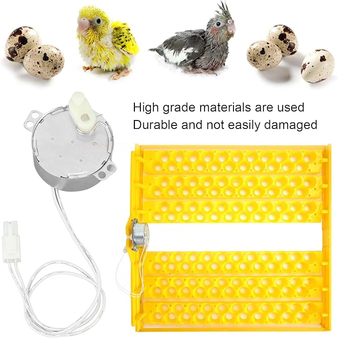 Replacement Egg Turner Motor, 4W Egg Turner Rotator Incubator Motor Electric Synchron Motor with Connector for Chickens Ducks Goose Birds Egg Hatching (100-120v)