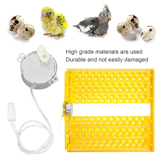 FLEXMAN Egg Turner Rotator Incubator Motor, 4W, Aluminum, Professional Electric Synchronous Motor with Connector for Incubator (100-120v)