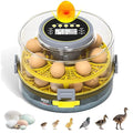 Egg Incubator for Hatching Eggs – 20-Egg Capacity with Automatic Egg Turner, Temperature & Humidity Control, LED Egg Candler, 360° Viewing for Chicken, Duck, Quail & Goose Parrot & Pigeon