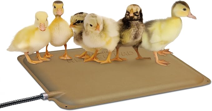 K&H Pet Products Thermo-Peep Chicken Heating Pad for Brooders and Chicken Coops, Warming Heat Plate for Chicks and Ducklings, Safety Listed Poultry Heat Lamp Alternative - Petite 12 X 9in, Tan 20W