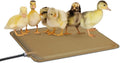 K&H Pet Products Thermo-Peep Chicken Heating Pad for Brooders and Chicken Coops, Warming Heat Plate for Chicks and Ducklings, Safety Listed Poultry Heat Lamp Alternative - Petite 12 X 9in, Tan 20W