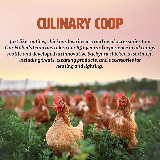 Fluker's Culinary Coop Ceramic Heat Emitter for Chicken Coop or Outdoor Animals, 150 Watt