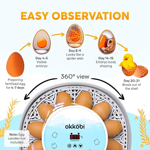 M12 Incubators for Hatching Eggs - Egg Incubator with Automatic Turner and Humidity Control - 12/24 Eggs - Incubadora de Huevos de Gallina - Easy to Use and Clean - 360° View - Blue