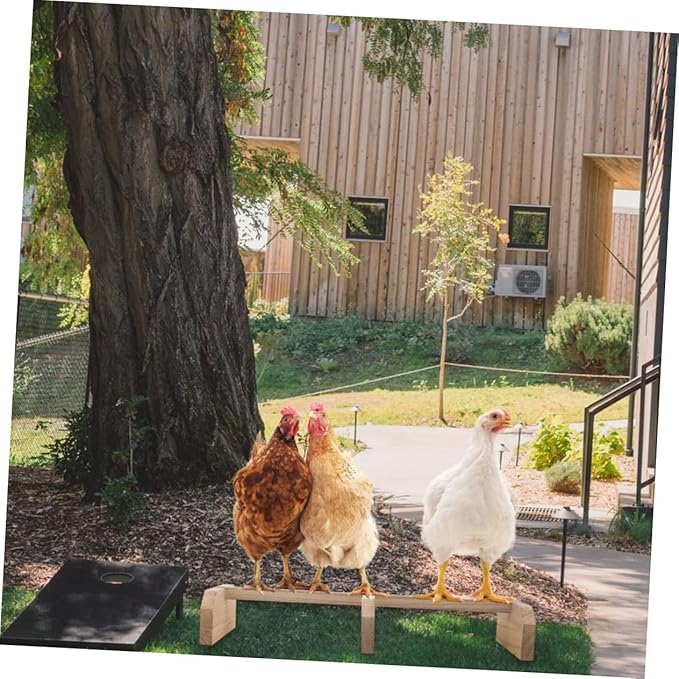 SUPVOX 1piece Wooden Chicken Roosting Bar Secure Bird Stand Bird Cage Perch Cage Accessory Parakeet Accessories