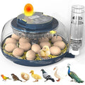 Incubators for Hatching Eggs, 18 Eggs Incubator with Egg Candler, Auto Egg Turner, Temp Control &Humidity Display, Hatch Day, Auto Water Refill, 2 Size Egg Tray, 360° Viewing for Chicken, Duck, Quail