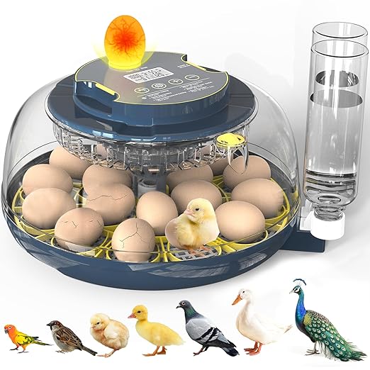 Incubators for Hatching Eggs, 18 Eggs Incubator with Egg Candler, Auto Egg Turner, Temp Control &Humidity Display, Hatch Day, Auto Water Refill, 2 Size Egg Tray, 360° Viewing for Chicken, Duck, Quail