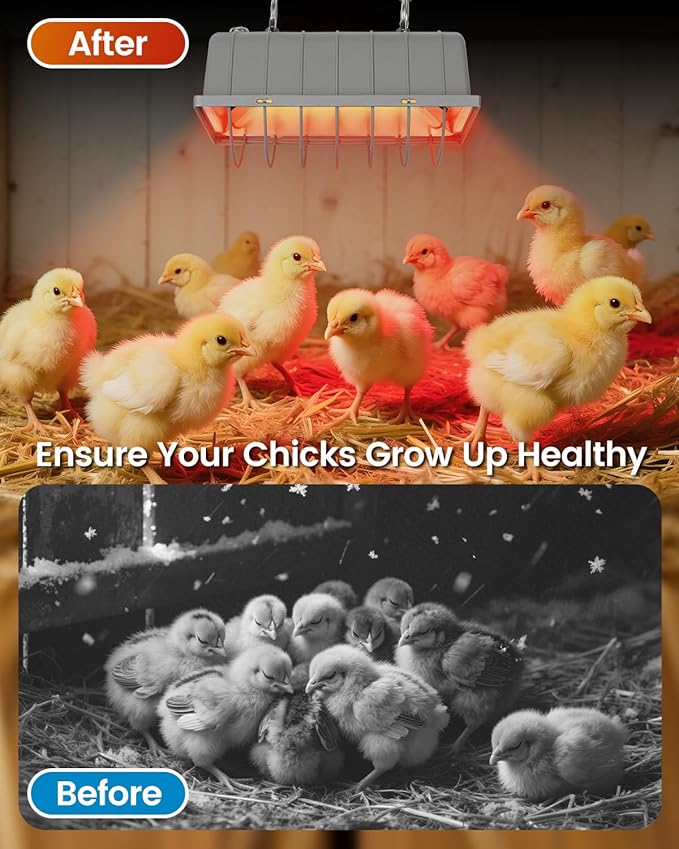 300W Dual-Mode Heat Lamp for Chickens - Long-Lasting Chicken Coop Heater & Chick Brooder Kit Companion, Safe Design with 7.87ft Cord for Poultry, Ducks, and Other Livestock