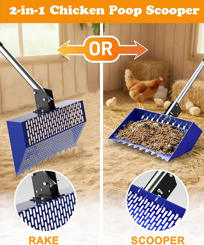 INNOLAND Chicken Poop Scooper & Rake with 3-Angle Adjustable Sifting Shovel, 12" Stainless Steel Chicken Coop Scoop for Sand, 22-64" No-Bend Poultry Litter Cleaner for Chicken Coop & Animals House
