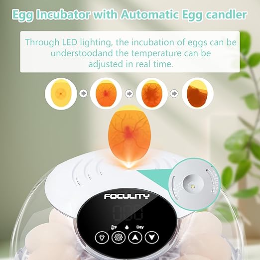 Egg Incubator for Hatching Chicks, Holds 12 Eggs, Automatic Egg Turner with Temperature, Humidity Display, Egg Candler, Automatic Egg Turner, 360 Degree View with Clear Window