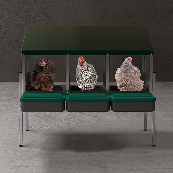 Hatching Time EggHouse Galvanized 3 Bay Nesting Box with Triple Roll Away Egg Collection Trays and Metal Legs, Freestanding Chicken Coop Hen Laying System for Farm Flocks, Up to 30 Hens