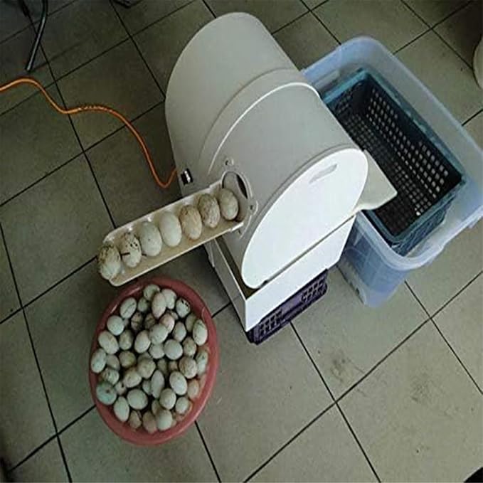 Electric Egg Washing Machine, Egg Washer Machine, Automatic Egg Washer Machine, 2300 Pcs/H Chicken Duck Goose Egg Egg Cleaner Wash Machine (Color : 110V)