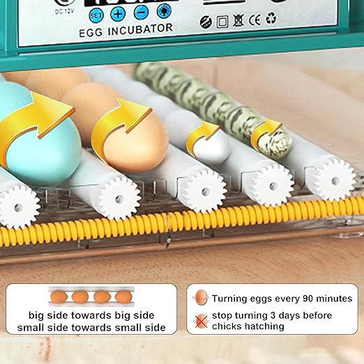 Incubators for Hatching 16 Eggs, Egg Incubator with Automatic Egg Turning and Humidity Fill, Temperature Control, Incubator with Adjustable Rollers for Chickens, Ducks, Geese, and Quails