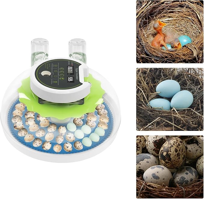 60 Quail Egg Incubator for Hatching Eggs with Automatic Egg Turning & Humidity Temperature Control, Large Capacity Quail Brooder Poultry Incubators for Chicken, Ducks, Goose, Pigeon Parrot