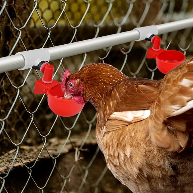 12 Pack Chicken Waterer PVC Tee Fittings - Fully Automatic for Threaded Chicken Waterer Nipples/Cups/Feeders/Poultry Water Drinker, White