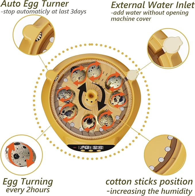 Quail Incubator with Automatic Egg Turning,8 Eggs, Smart Temperature Control, 360°View, Air Vent Circulated, Auto Mini Small Egg Incubator for Hatching Quail Bird Parrot Reptile