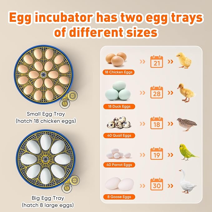 MYPIN 18 Chicken Eggs Incubator with Temperature Control, Humidity Display, Auto Egg Turning, Auto Water Filling, 2 Size Egg Trays, Chick Incubaotrs for Hatching Eggs Digital Incubator for Chicken