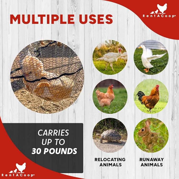 RentACoop Cluck Catcher Chicken Catching Net for All Poultry, Turkeys, Ducks, Quail, and Other Small Animals